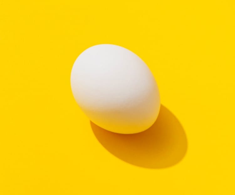 A white egg with a yellow background